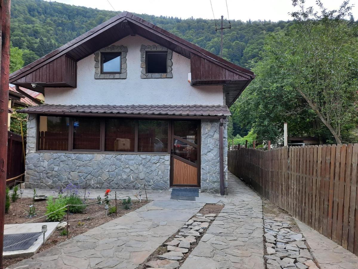 Casa Crissio Villa Sinaia Exterior photo